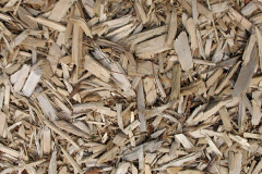 biomass boilers Plashet