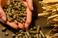 free Plashet biomass boiler quotes