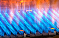 Plashet gas fired boilers